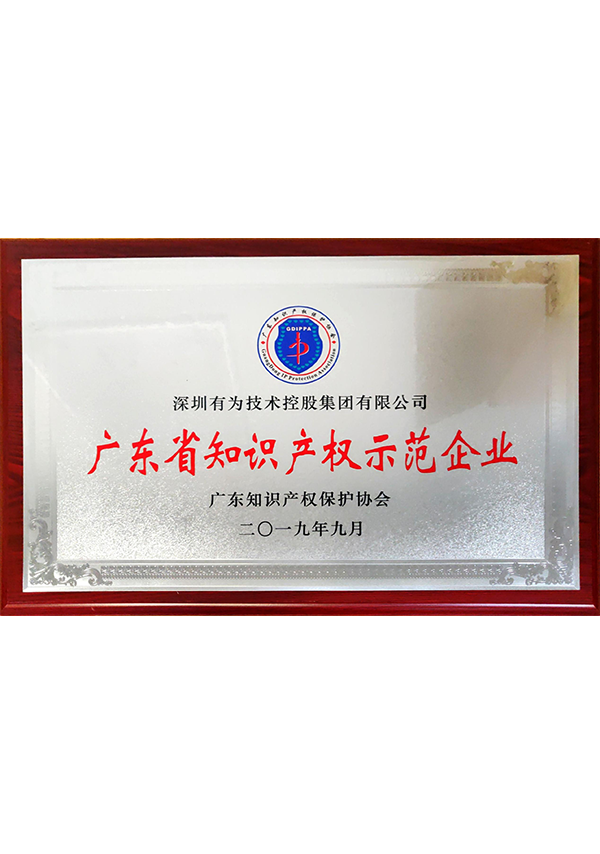 广东省知识产权示范企业